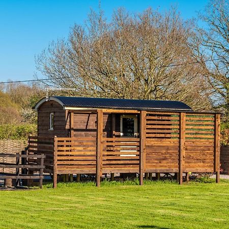 Hillside View Shepherds Hut - Ockeridge Rural Retreats Little Witley Bagian luar foto