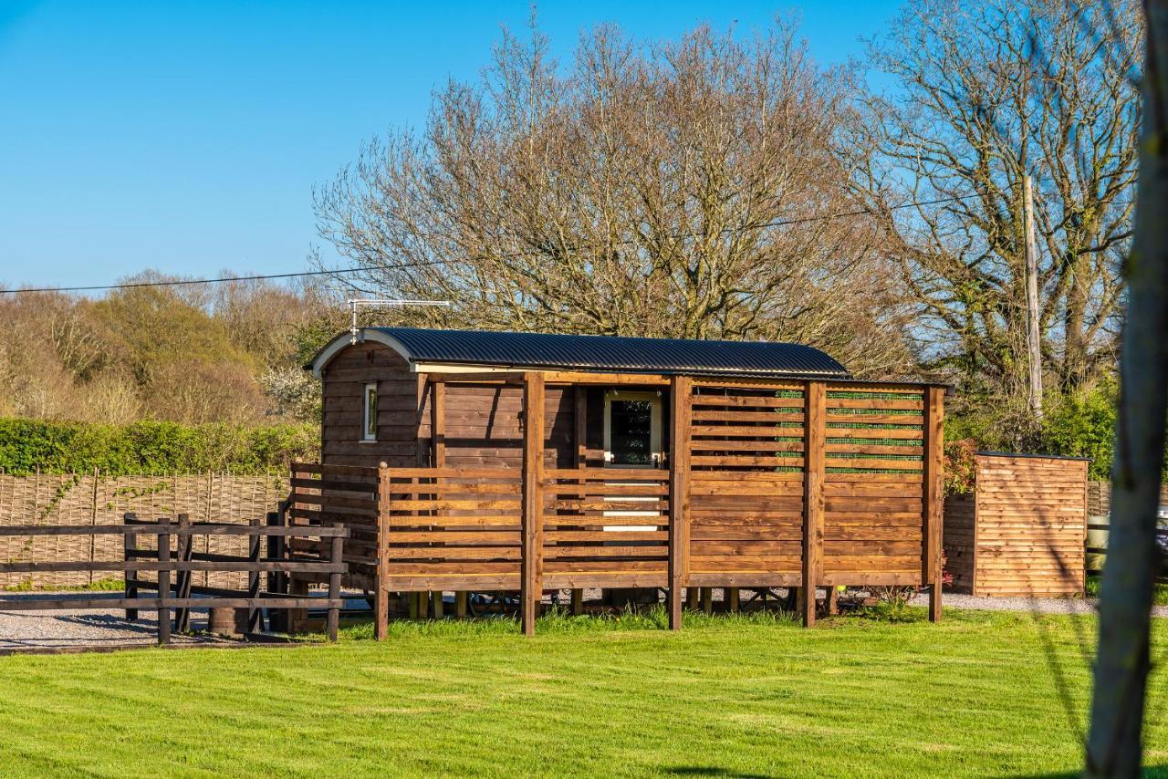 Hillside View Shepherds Hut - Ockeridge Rural Retreats Little Witley Bagian luar foto